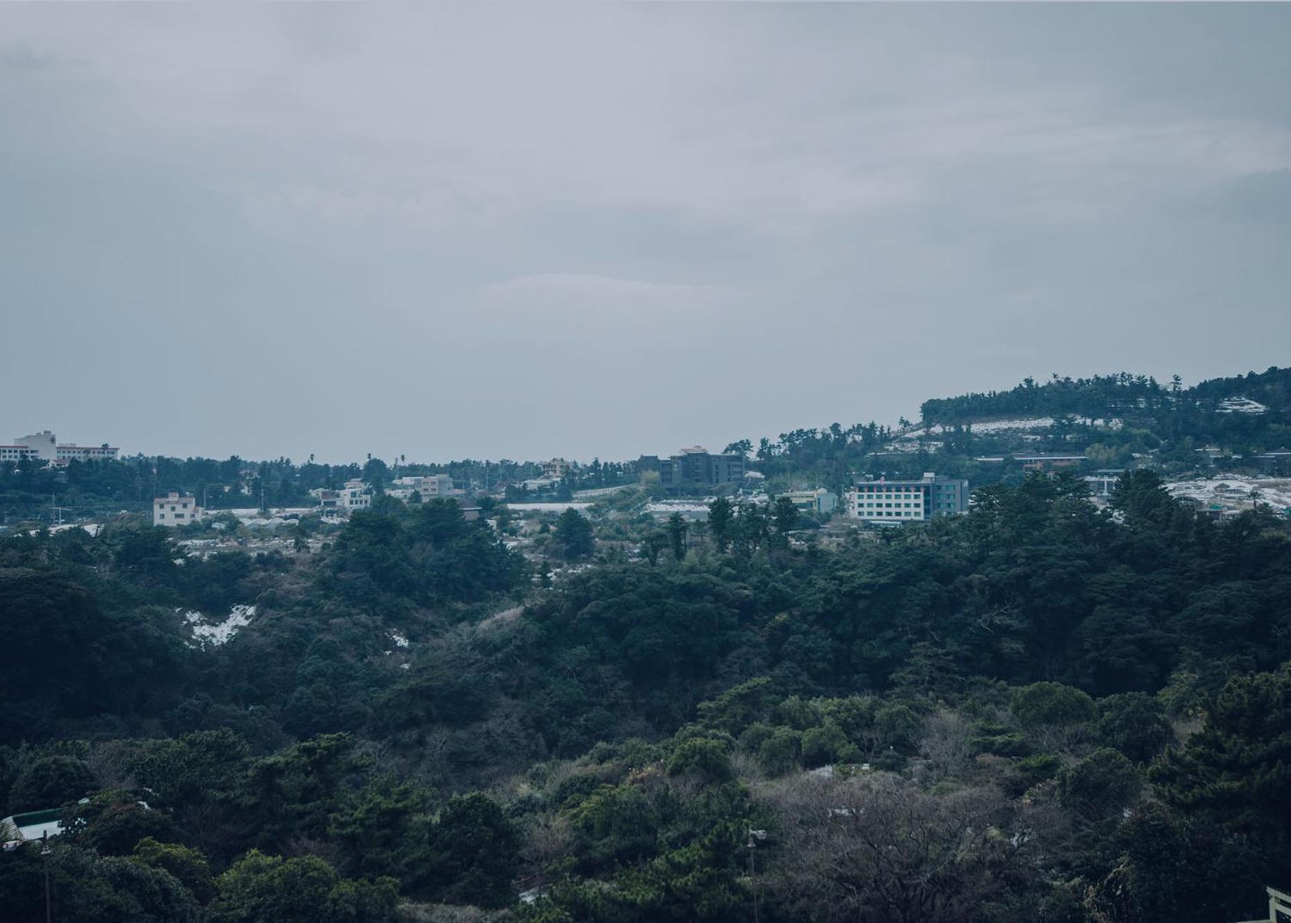 Jeju Lavender Hotel Seogwipo Bagian luar foto