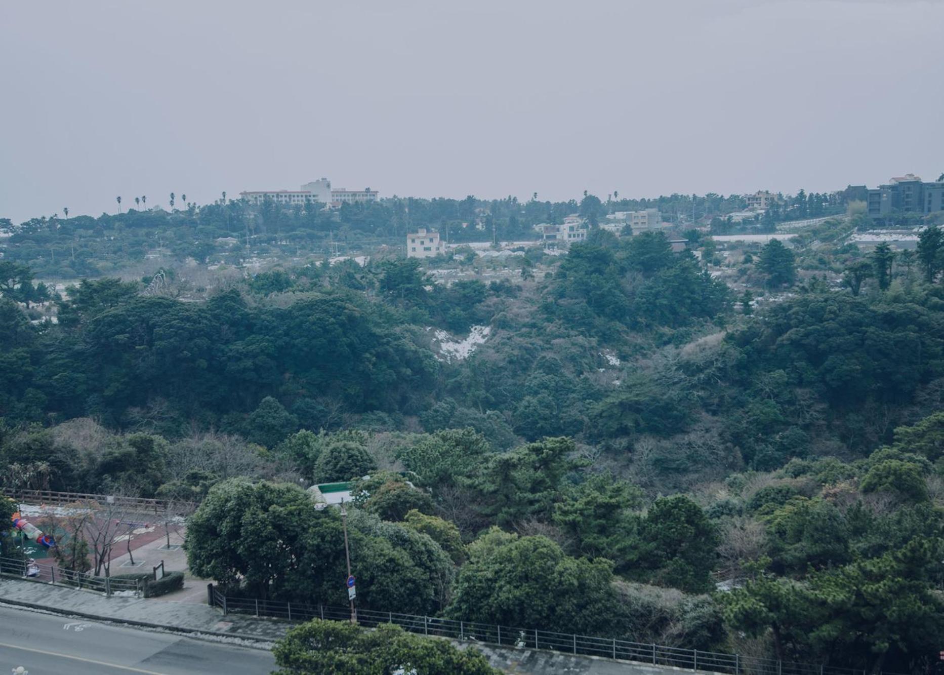 Jeju Lavender Hotel Seogwipo Bagian luar foto